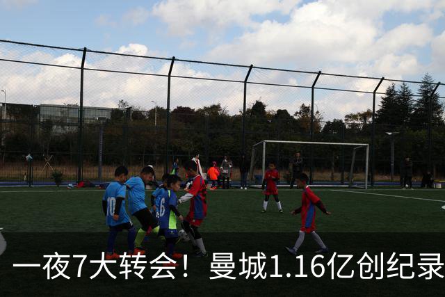 一夜7大转会！曼城1.16亿创纪录，渣叔接手德国队，英超意甲西甲大洗牌